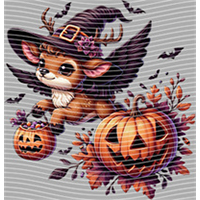 Halloween-WS 5751